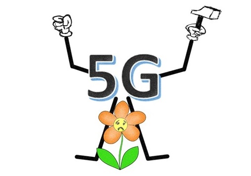 5G a květina! Jaký vliv bude mít vyšší hustota antén na životní prostředí i na naše zdraví?